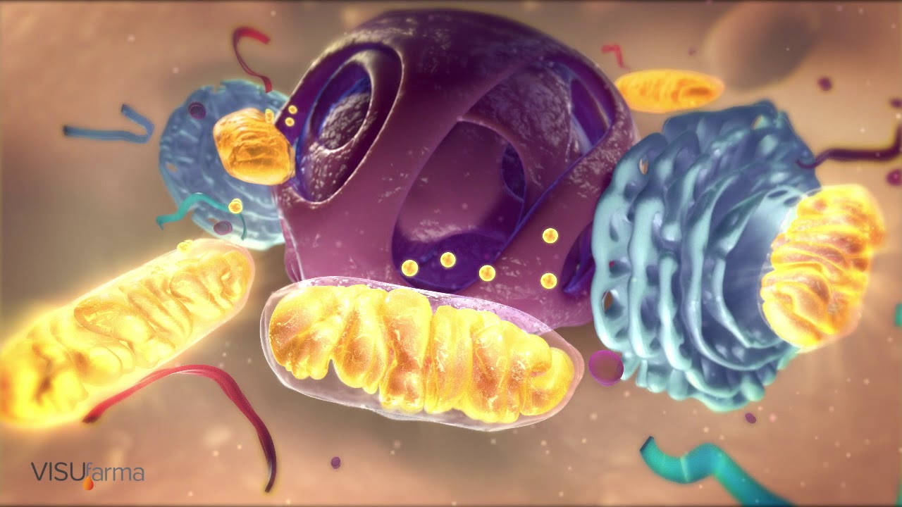 VisuXL eye drops YouTube