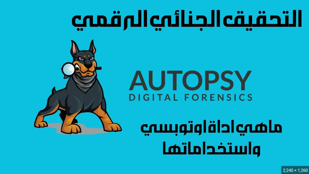 Autopsy Digital Forensics cyber security best tool تعلم اداة التحقيق الرقمي الشهيرة اوتوبسي