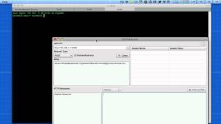 Quickly Test GET and POST Request From Apps Wealth