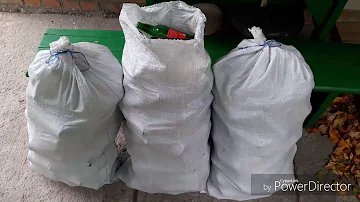 Сдаю стеклотару. Итоги сдачи бутылок и стеклобоя.
