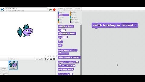 Scratch Tutorial - How to switch backdrop?