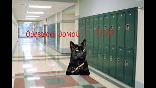 Мой Кошачий День 🐱