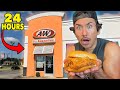 Eating Southern FAST FOOD Restaurants For 24 Hours...Again (Part 3)