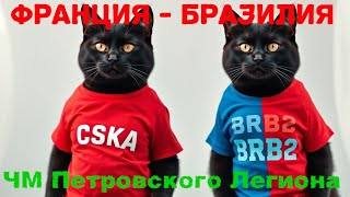 Франция-Бразилия! ЧМ Петровского Легиона!!! eFootball  BRB2