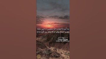 Surat Al Bayyinah Maher Al Muaiqly سورة البينة ماهر المعيقلي