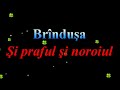 Brînduşa - Şi praful şi noroiul - mel Brînduşa - 2017