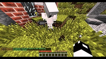 autobothammer, MCSG Hacker