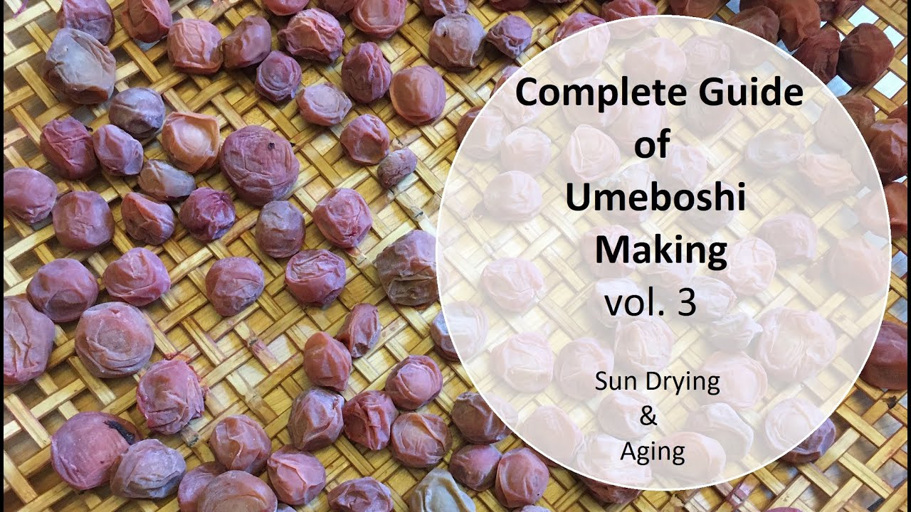 How to make Umeboshi - Step by Step Complete Guide 【3of 3】Holistic Life in California カリフォルニアで梅干し作り