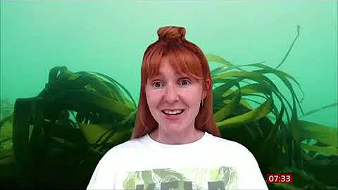 Sussex Kelp Recovery Project Impact & Progress Report