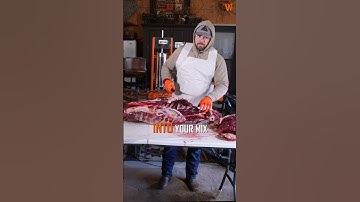 Deer Fat Does Not Taste Good #deer #venison #butcher