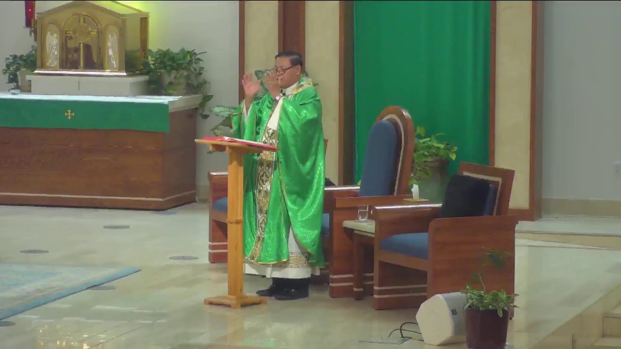 Rosary & Daily Mass June 14, 2023 YouTube