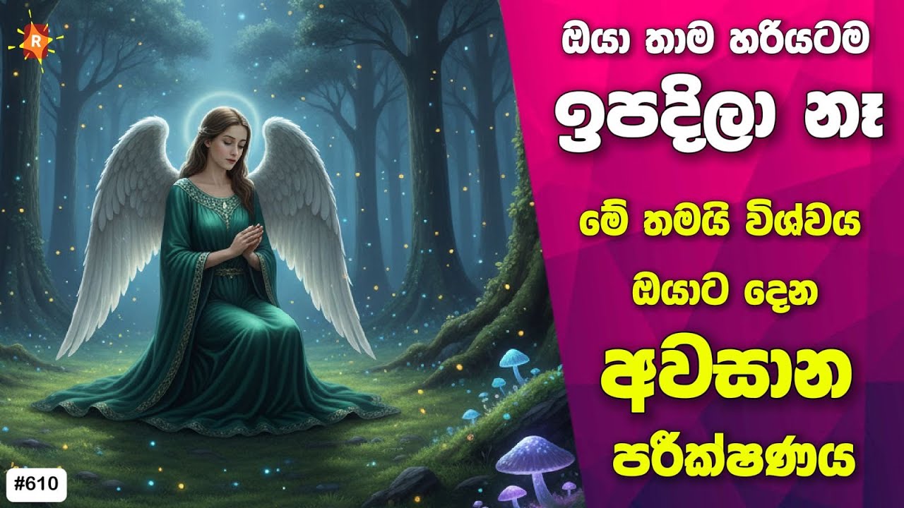 මේක තමයි ඔයාට විශ්වය දෙන අවසාන පරීක්ෂණය. ඔයාගේ ජිවිතයම යටිකුරු වෙනවා නියතයි. ඔයා ගොඩක්  වාසනාවන්තයි.