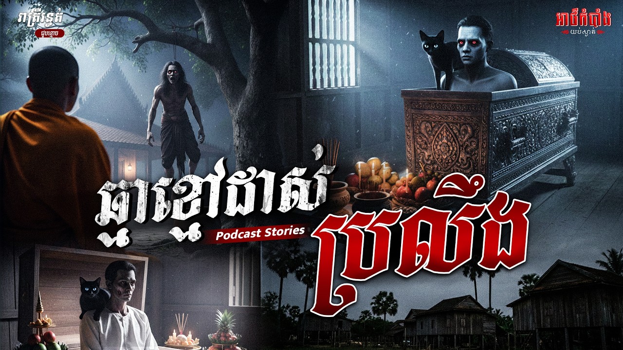 ឆ្មាខ្មៅដាស់ប្រលឹង | Podcast Stories | អាថ៌កំបាំងយប់ទី 47