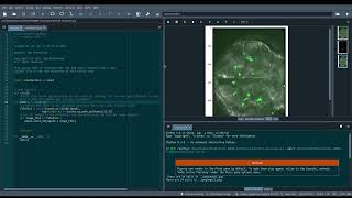 Frame Extraction and Cell Counter Software Demonstration/Overview. screenshot 4