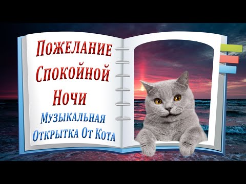 Пожелание Спокойной Ночи… Музыкальная Открытка От Кота