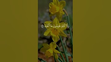 إعلان البراءة من الشرك | سورة الكافرون الشيخ المنشاوي تقشعر لها الأجسام