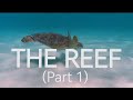 THE REEF (Part 1) - Freediving Nouvelle Calédonie