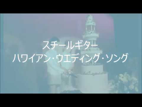 Hawaiian Wedding Song (ハワイ結婚の歌) Steel Guitar - YouTube