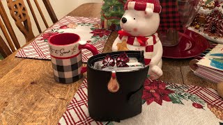 Planner Flip Through of Christmas Cuteness