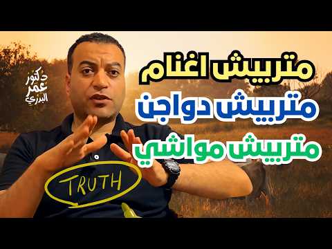 الحقيقة الكاملة عن تربية وتسمين الاغنام والمواشي اللي محدش هيقولهالك
