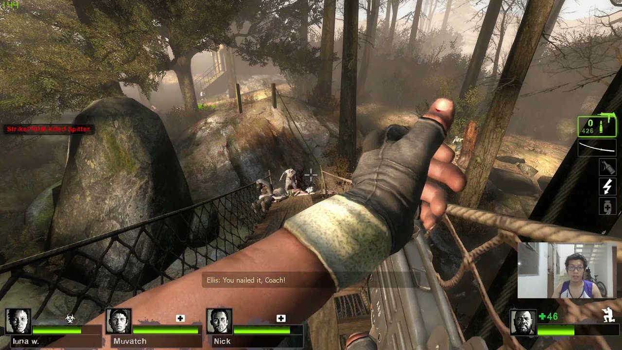 Cold Stream: Alpine Creek and South Pine Stream (1)