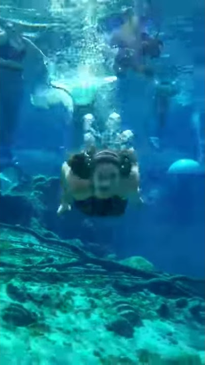 09.15.18 Mermaid Photo Op with Bobbi