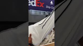 Live iguana stuns workers at FedEx store