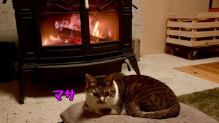 [Cat and wood stove] The last wood stove of the season | Living with a cat in a snowy country