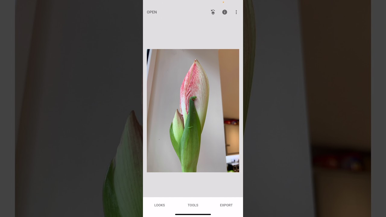 How to create tilt shift images on Snapseed
