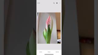How to create tilt shift images on Snapseed screenshot 5