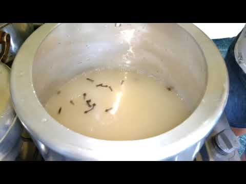 ARROZ DOCE CREMOSO NA PANELA DE PRESSÃO COM LEITE CONDENSADO