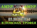 Русская Рыбалка 4 - Озеро Медвежье - Амур