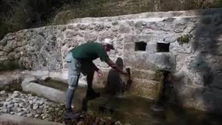 Ομαδική πεζοπορία στο φαράγγι του Καρούχα και τις πηγές της Δάφνης