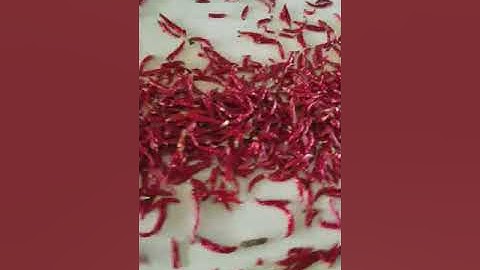 Red chilly pepper color sorting machine/  brady@angelon.com.cn