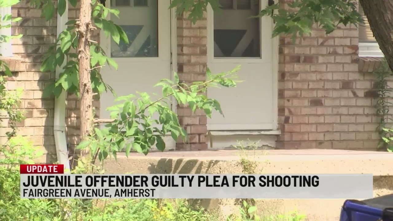Teen pleads guilty to attempted murder in drive-by shooting - YouTube