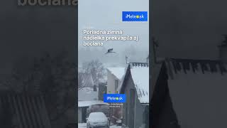 Poriadna zima a uprostred nej bocian, ktorý vyzerá, akoby sa ocitol v nesprávnom ročnom období