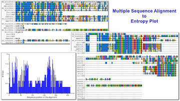 Construction of Entropy Plot by Multiple Sequence Alignment #bioinformatics #entropy #alignment #bio