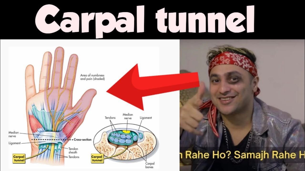 Carpal tunnel || Easily explained in 8 minutes || #anatomy #FMGE 32