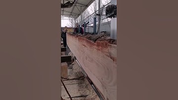 Smart Worker Technique Easily Cuts Wood Using Advanced Machines #shorts