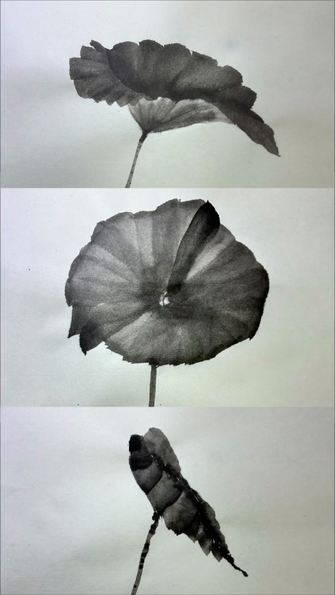 水墨画Sumi-e】蓮の葉の描き方3選| 3 Ways to Paint Lotus Leaves