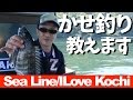 【カセ釣り教えます】撒き餌はペレット!サシエはネリエ!【シーライン釣果ノート15【I will teach you fish fishing】