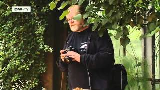 Kiel -- Three Travel Tips | Discover Germany