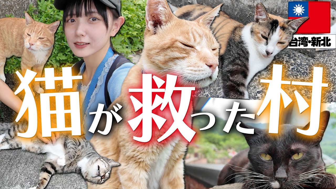 200匹以上の猫が暮らす”猫が救った村”の台湾猫村に行ったら癒されすぎた…！
