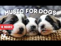 Soothing music for dogs  puppies  10 hours of relaxing dogpuppy music