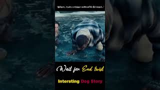 Frozen forest  ,dangerous survival and one dog! |lnteresting dog story movie explained in tamil