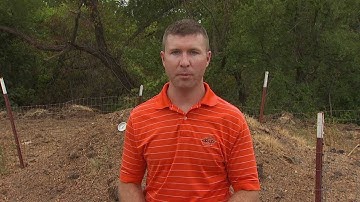 FAQ(v): Can I use incineration as an option for livestock mortalities?