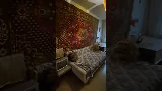 2-кімнатна квартира на Черемушках в Одесі