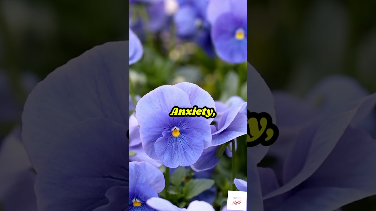 Gaslighting: The Narcissist’s Secret Weapon to Control Your Mind 