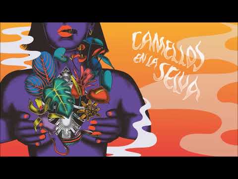 Ver video de Camellos