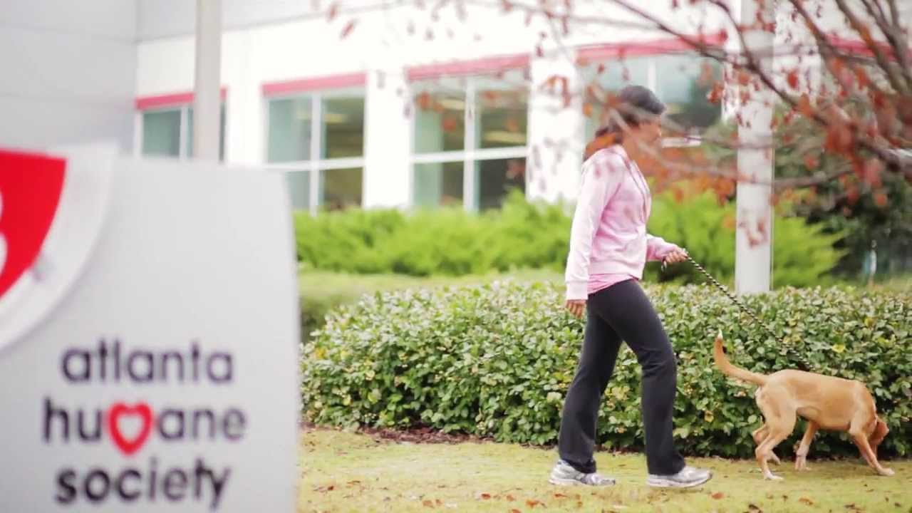 Find Love at Atlanta Humane Society - full version